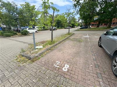 Picture 16